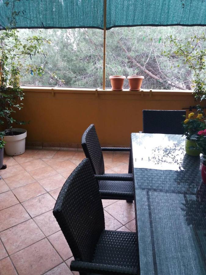 Apartment Lucica Zadar