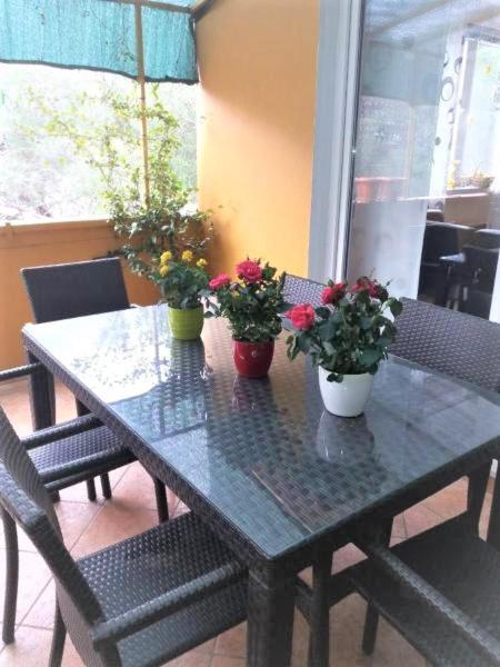 Apartment Lucica *