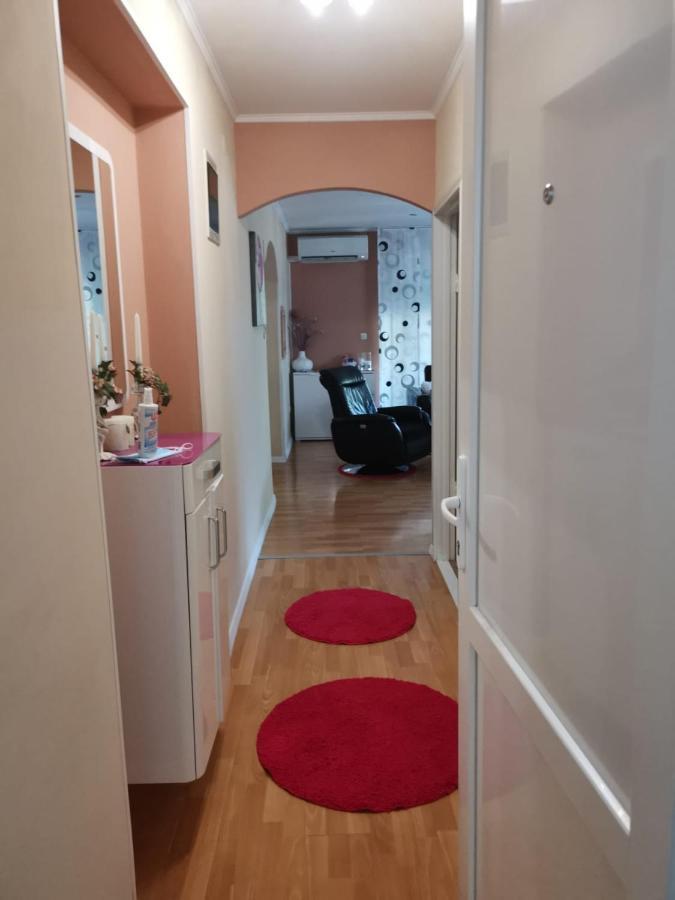 Apartment Lucica *